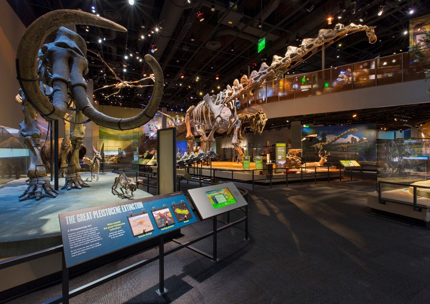 DAS at Perot Museum in Dallas installed by Optical Telecom